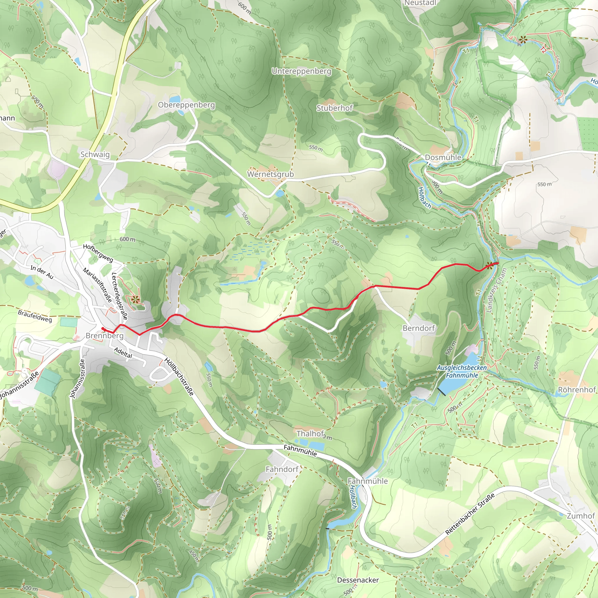 Holzsteg Walk from Brennberg mobile static map