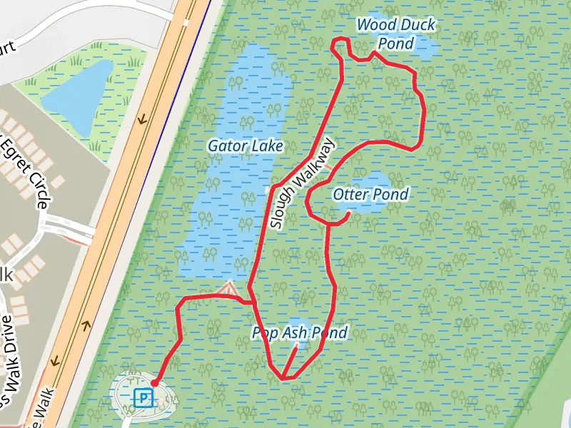 Six Mile Cypress Slough Ponds Loop