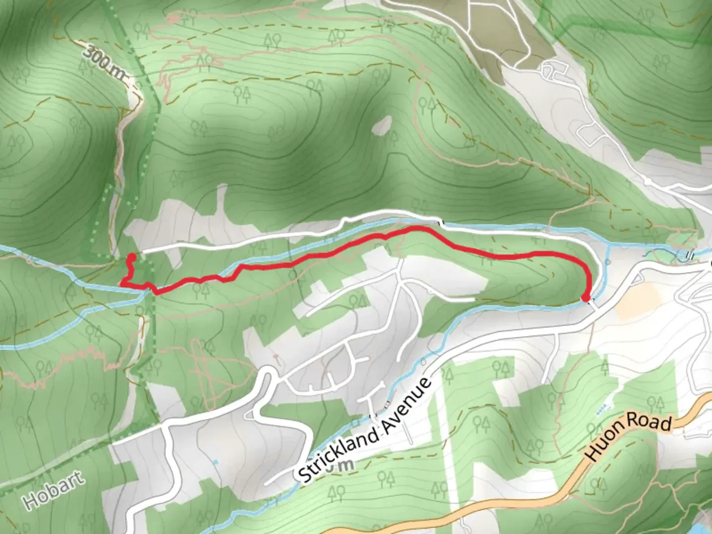 An image depicting the trail Cascade Walking Track and its surrounding area.