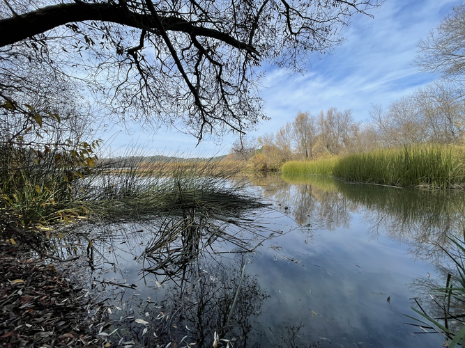 Rough Go, Locus Trail and Spring Creek Loop Trail