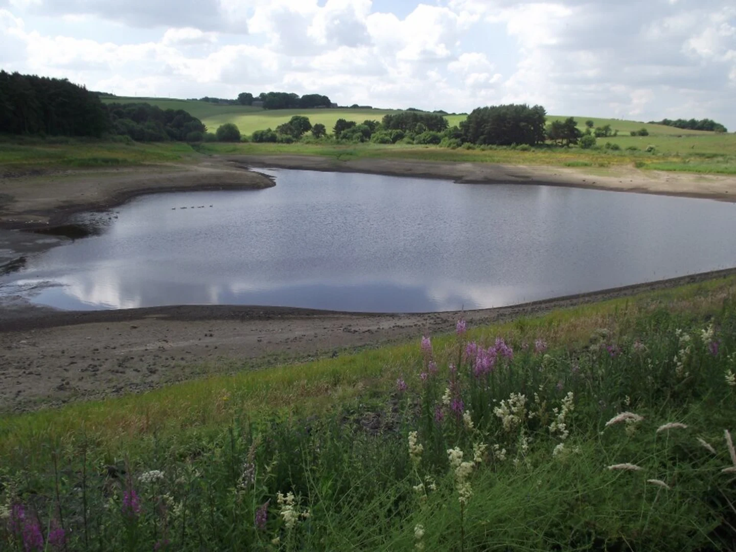 An image depicting the trail Sunnyhurst Wood and Earnsdale Reservoir Loop and its surrounding area.