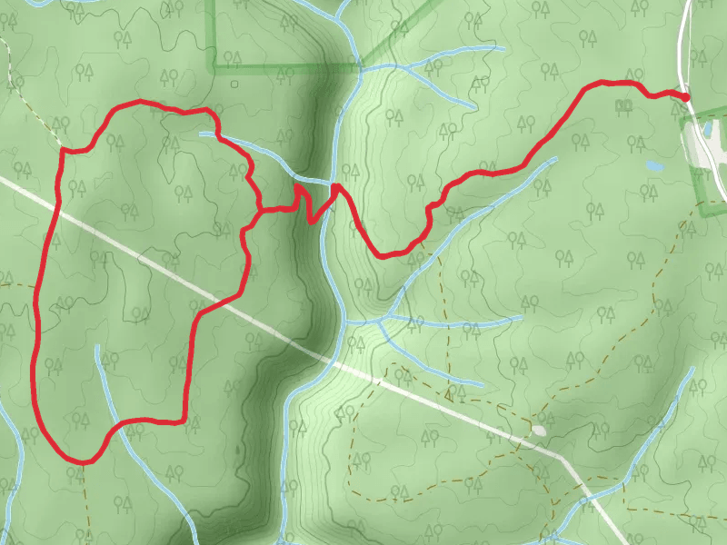 Persimmon Loop Trail