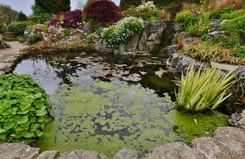 Emmets Garden and Lady Churchill's Rose Garden via Weardale Walk