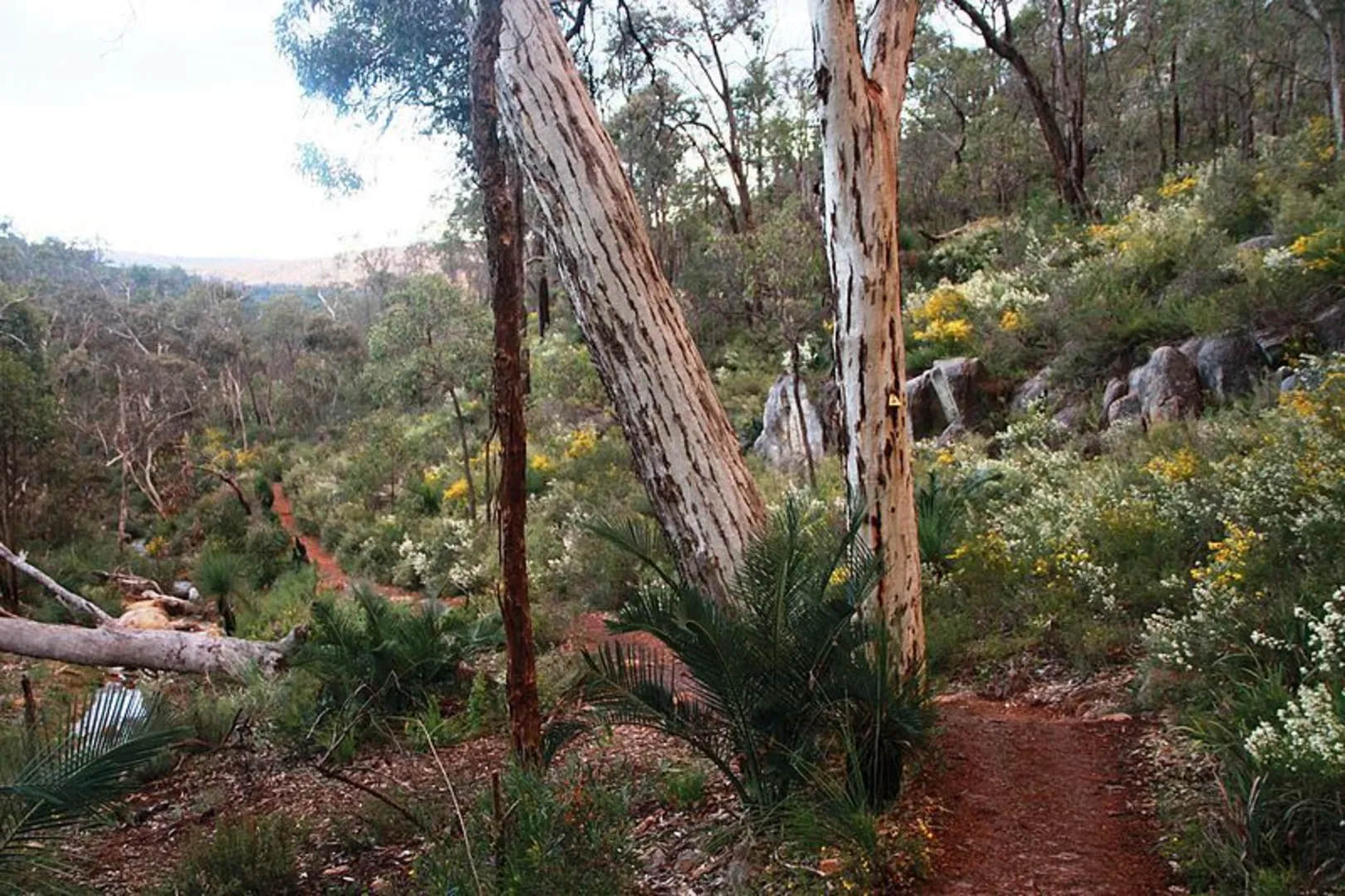 An image depicting the trail Rocky Pool Walk and its surrounding area.