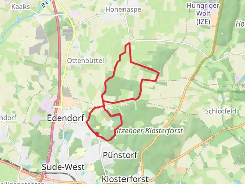 Spaziergand im Stadtforst Itzehoe Loop