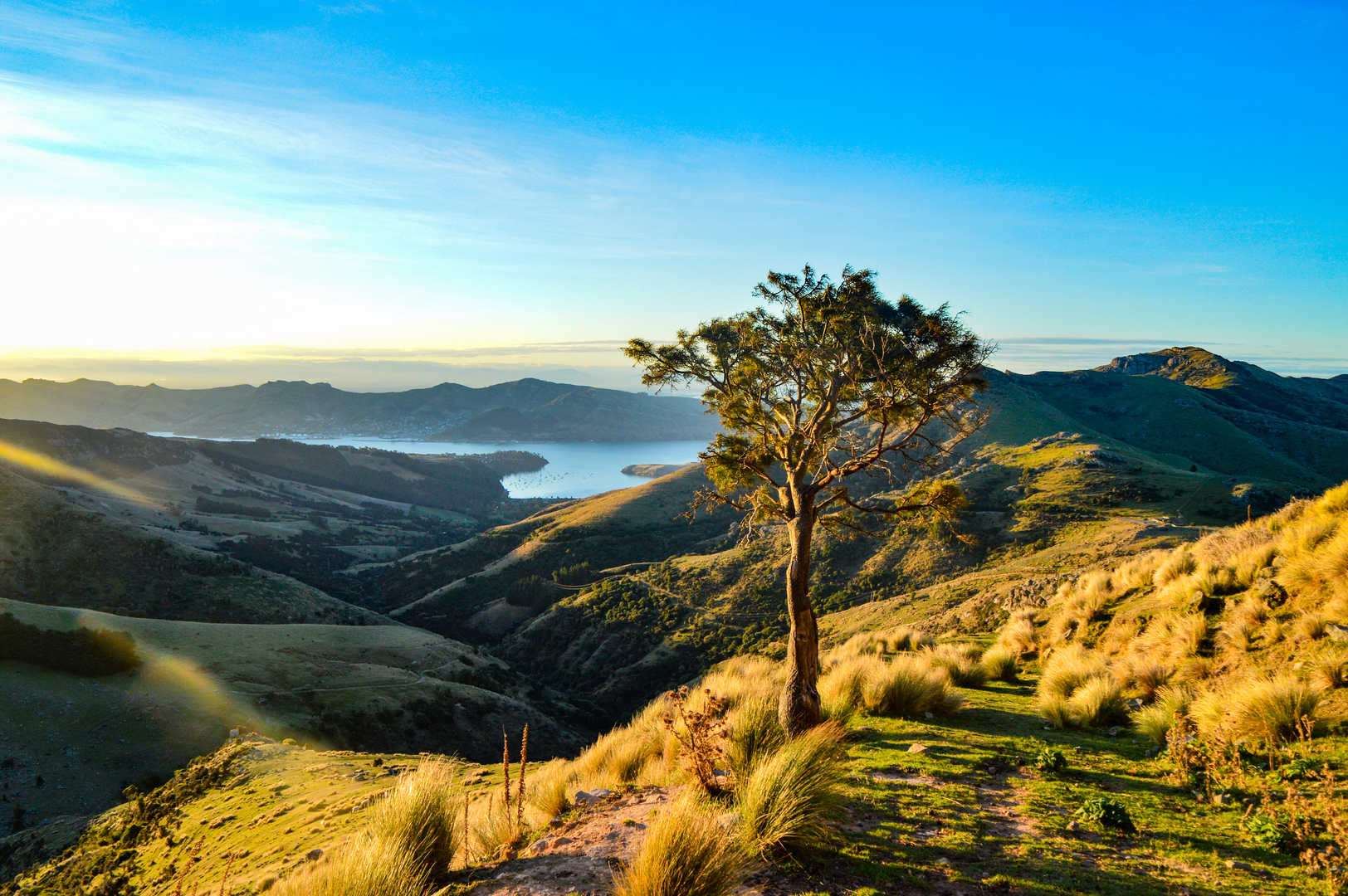 An image depicting the trail Mount Herbert Walkway - Te Ahu Patiki and its surrounding area.