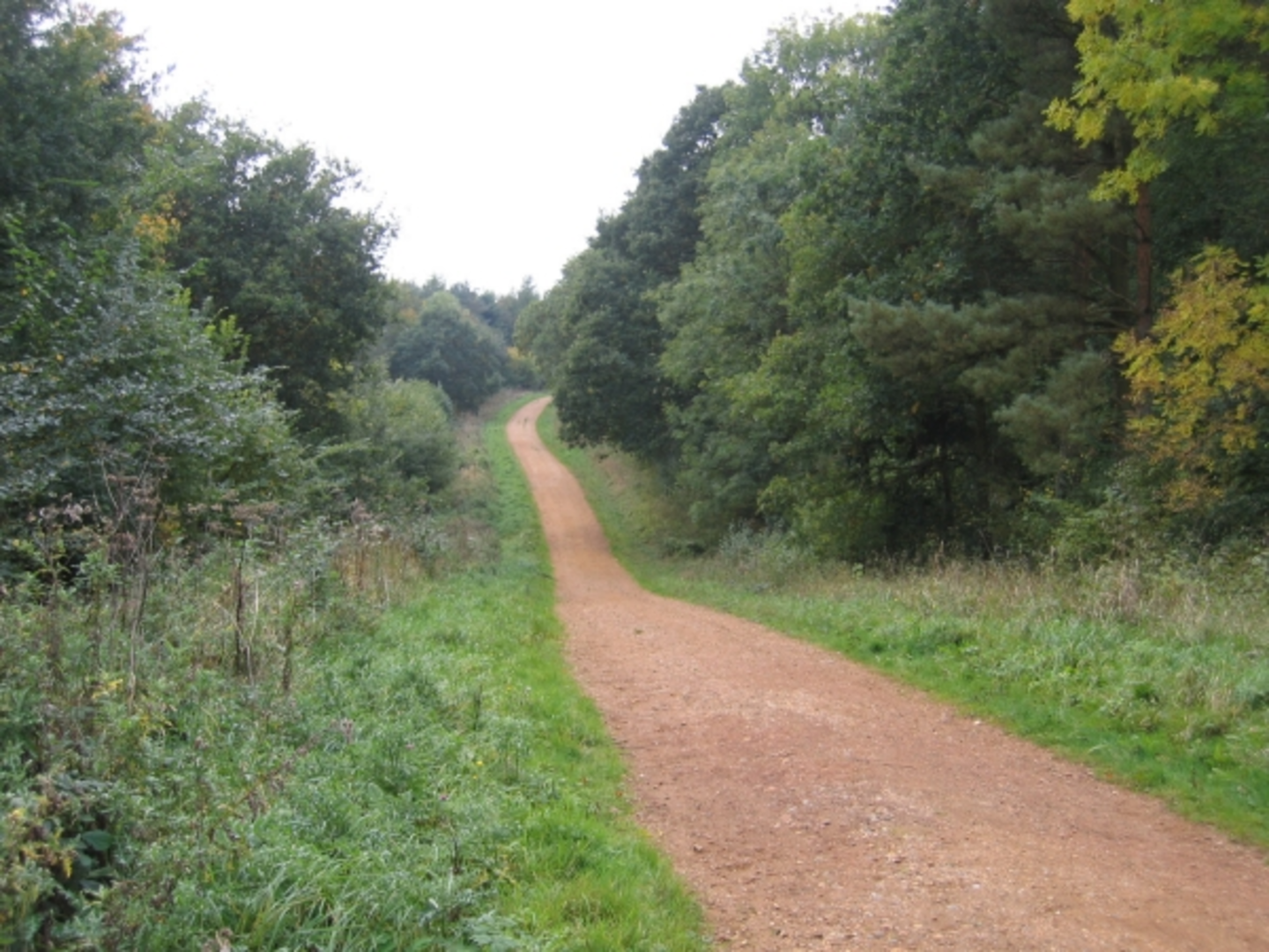 Maulden Woods Loop | Central Bedfordshire | England