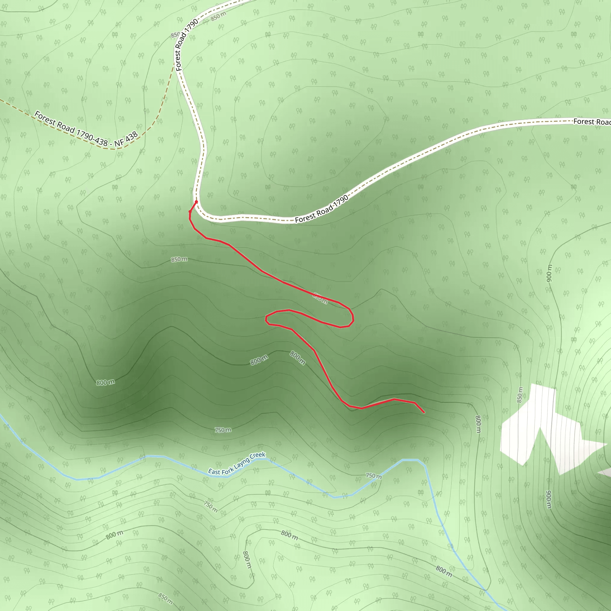 East Fork Layng Creek from Forest Road 1790 mobile static map