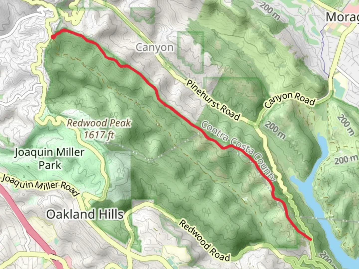 An image depicting the trail East Ridge Trail Out and Back and its surrounding area.