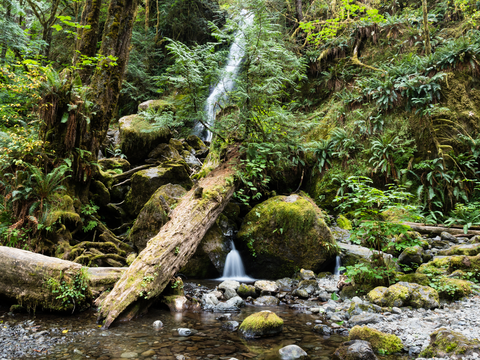 Colonel Bob Summit Trail