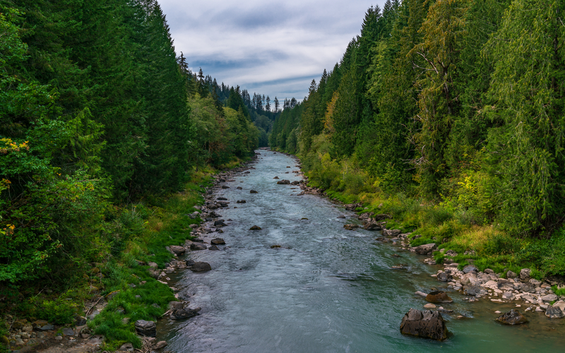 Iron Creek Campground Loop Trail