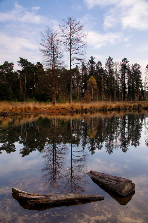 Geeneindsche Heide, Wasven and Witven Loop