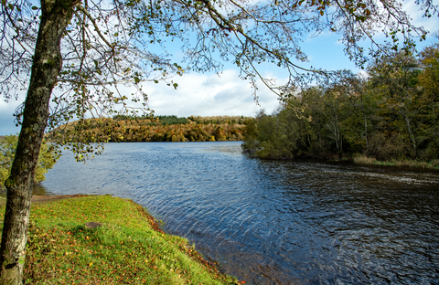 Killykeen Forest Park - Gartanoul Trail