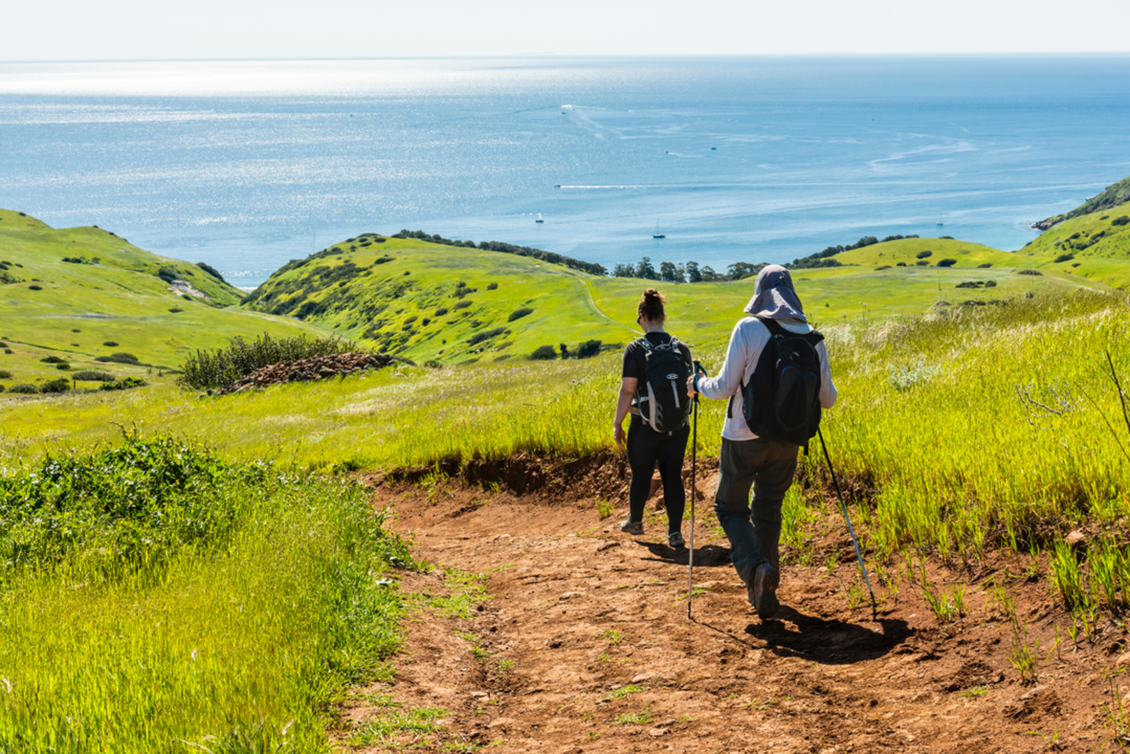 An image depicting the trail Yellowbanks Trail and its surrounding area.