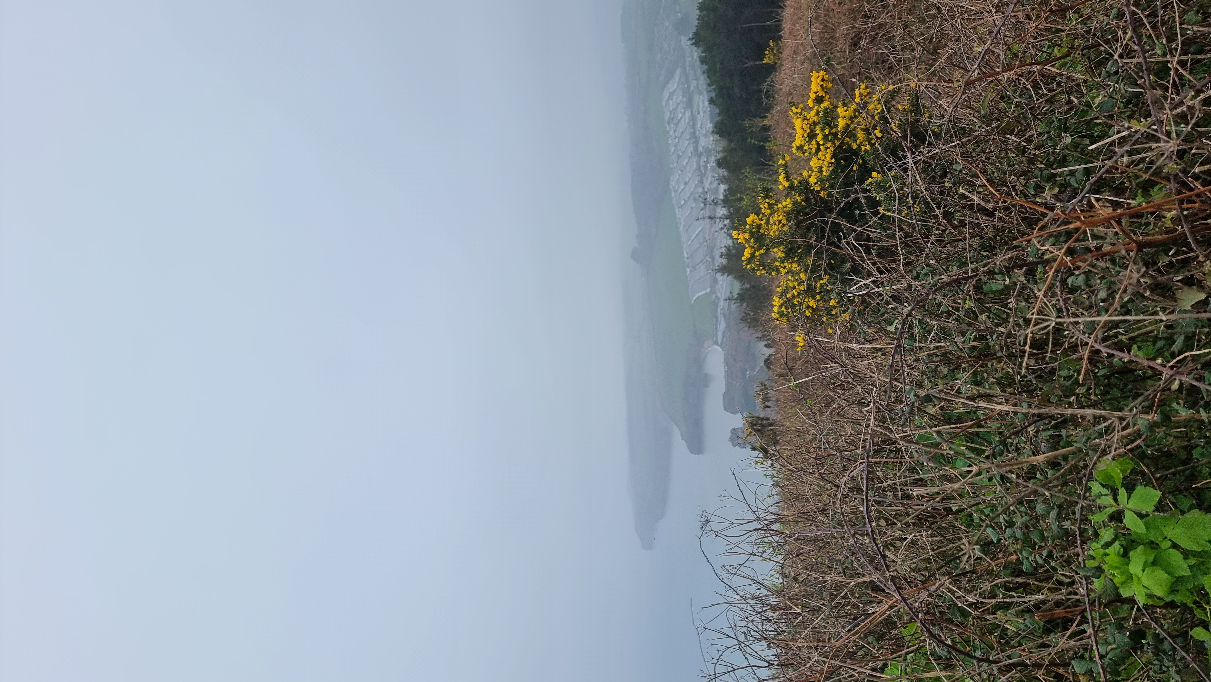 A map preview of the recording Ten tors training walk 7/3/26.