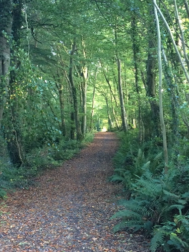 Woodstock Loop
