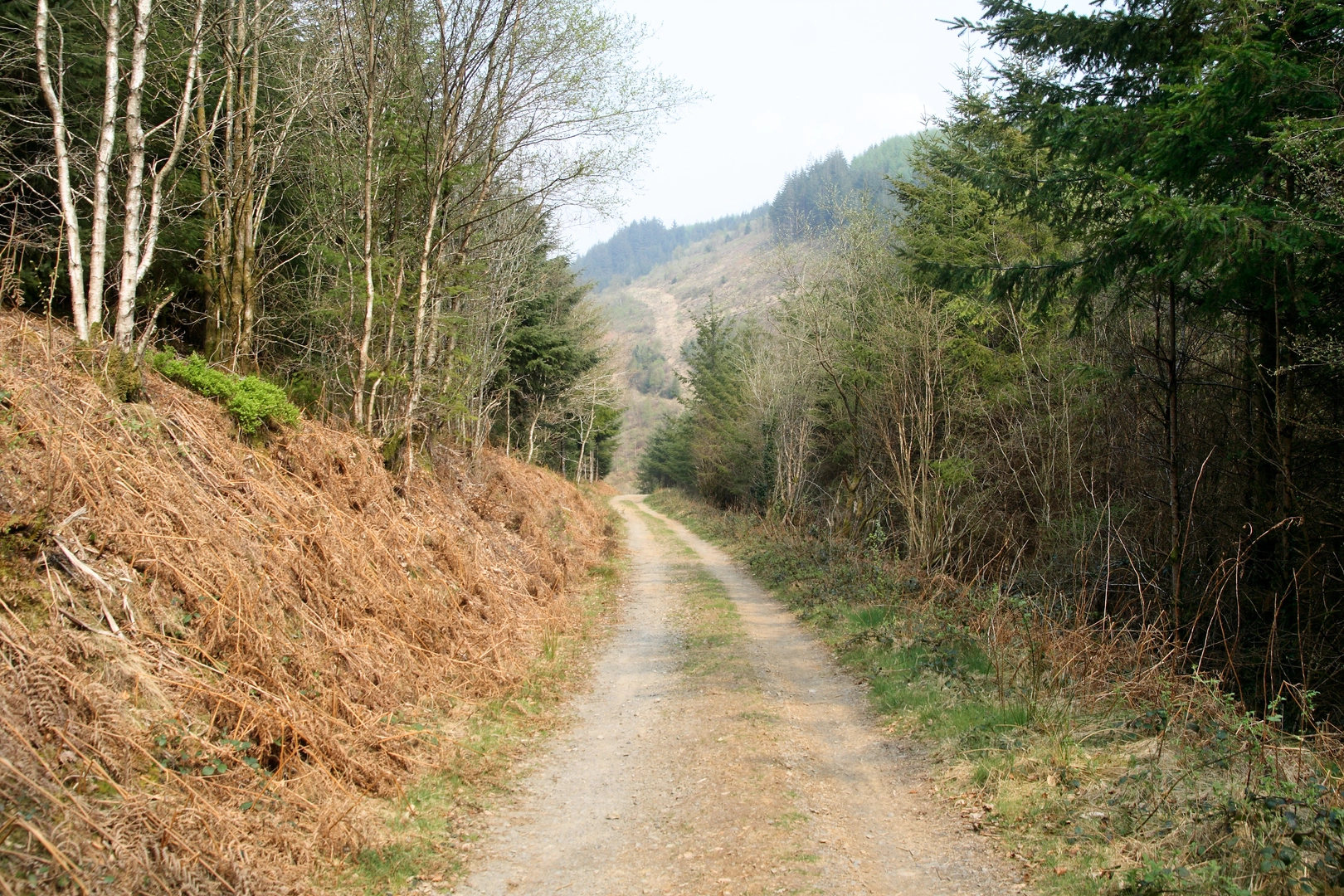 An image depicting the trail Epynt Way and its surrounding area.