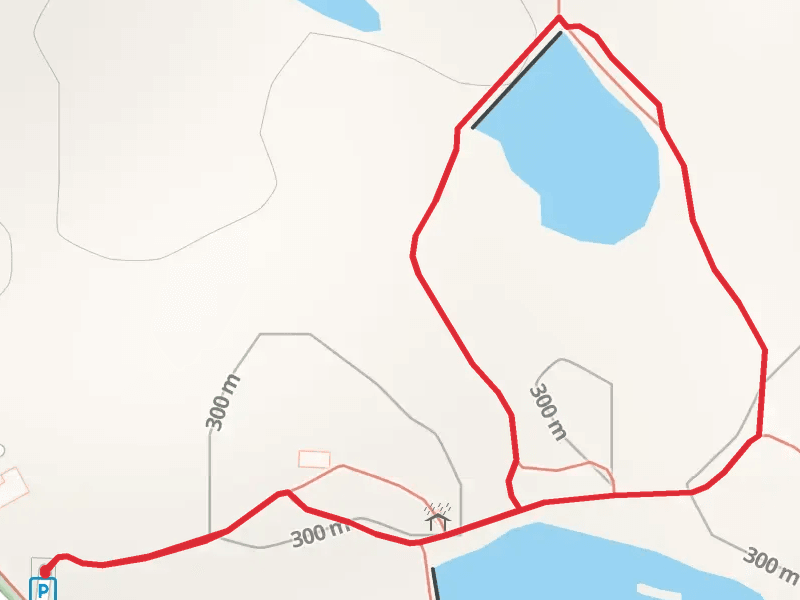 Carpenters Creek Road Loop - Short