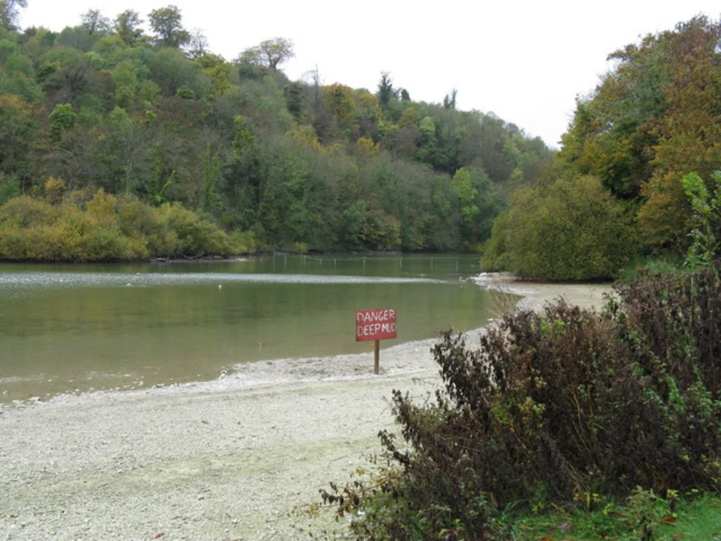 An image depicting the trail Lonebeech Plantation and Swanbourne Lake Loop and its surrounding area.