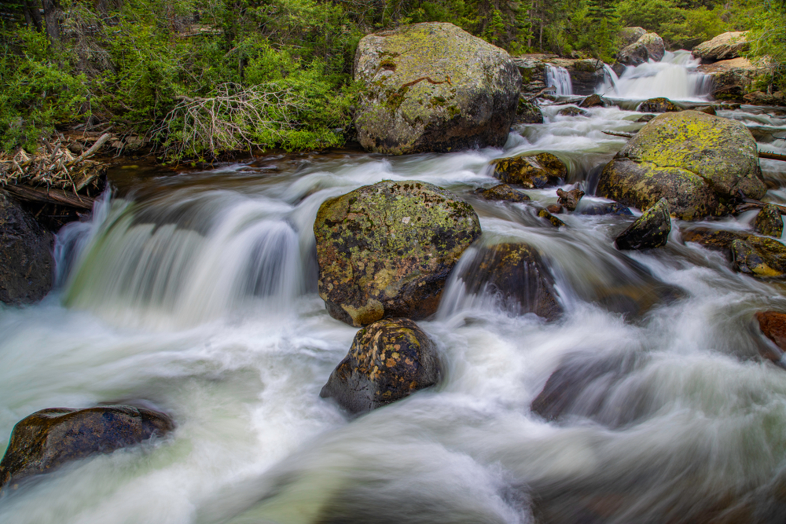 An image depicting the trail Copeland Falls Trail and its surrounding area.