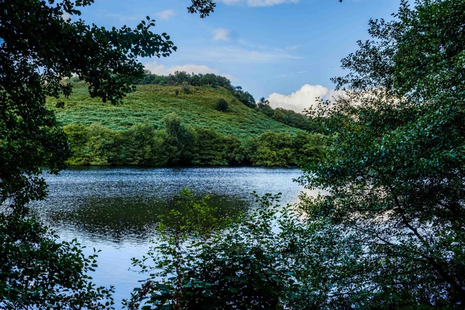 An image depicting the trail Styperson Hill and Bollington Loop and its surrounding area.