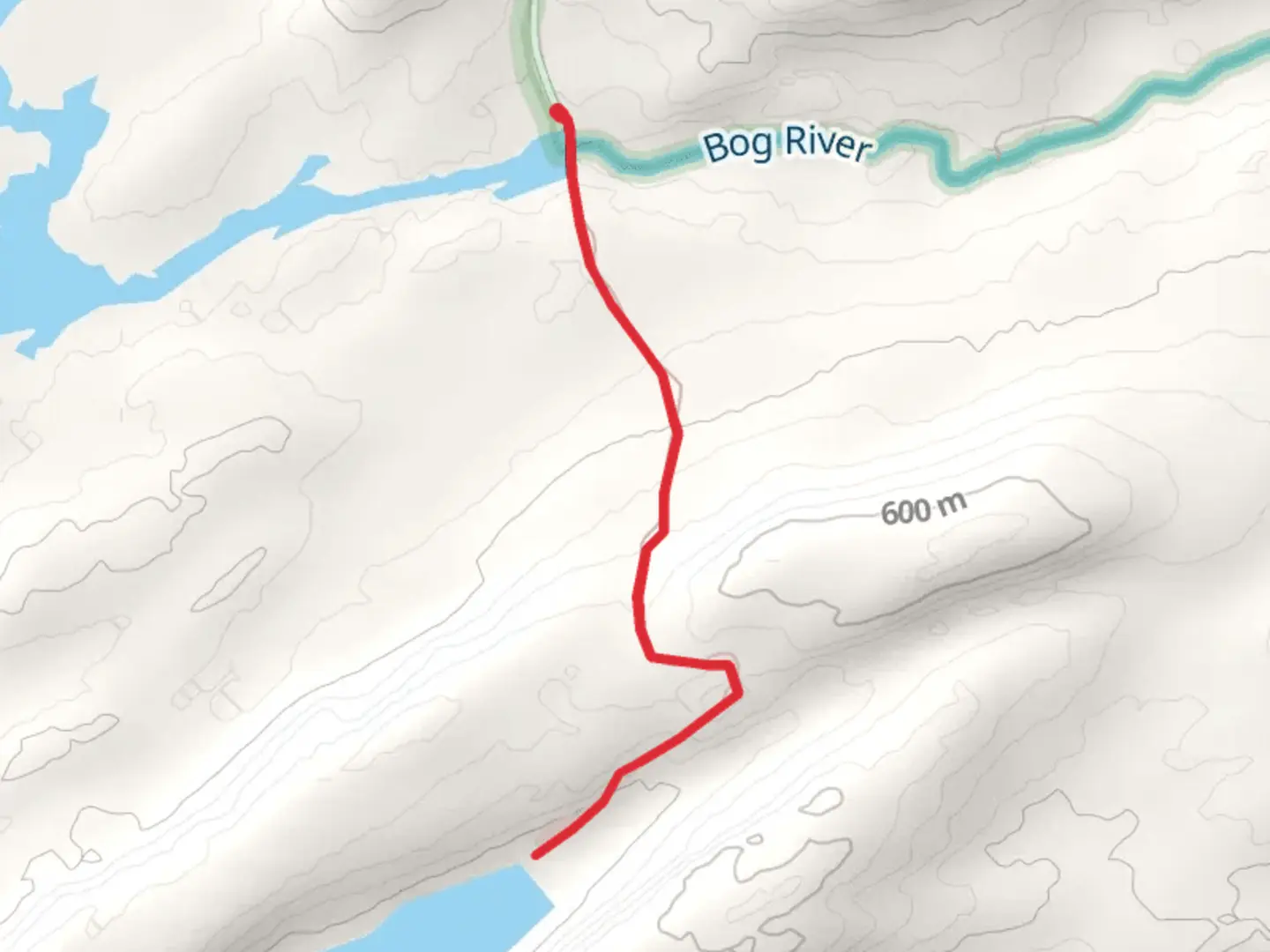 An image depicting the trail Trout Pond Trail via Bog River and its surrounding area.