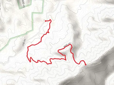 Old Dug Trail