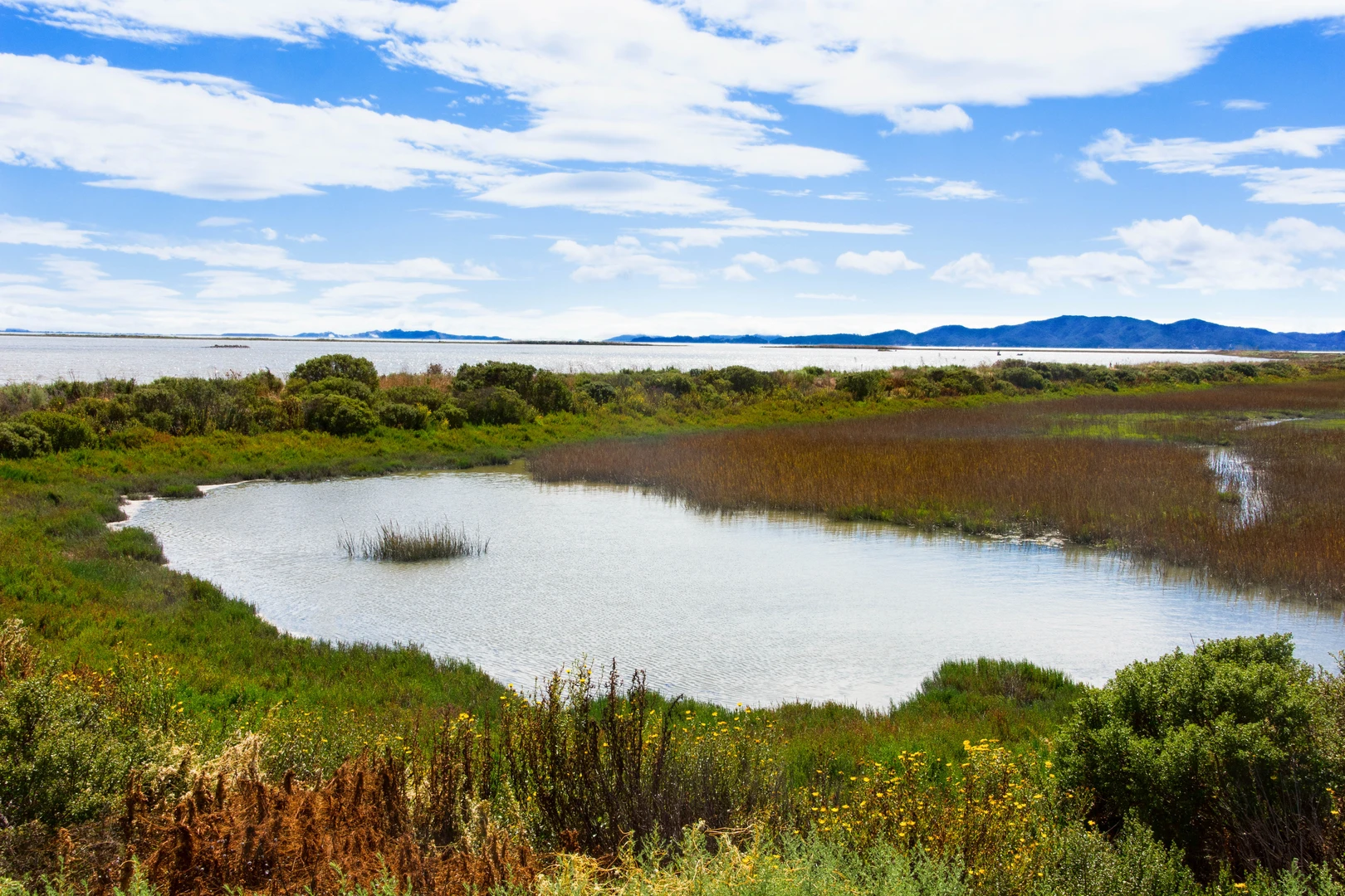 An image depicting the trail Cullinan Ranch Walk and its surrounding area.