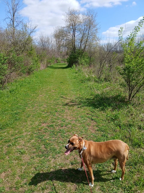 Wag Tail Trail