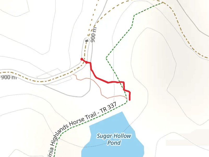 Sugar Hollow Pond Trail