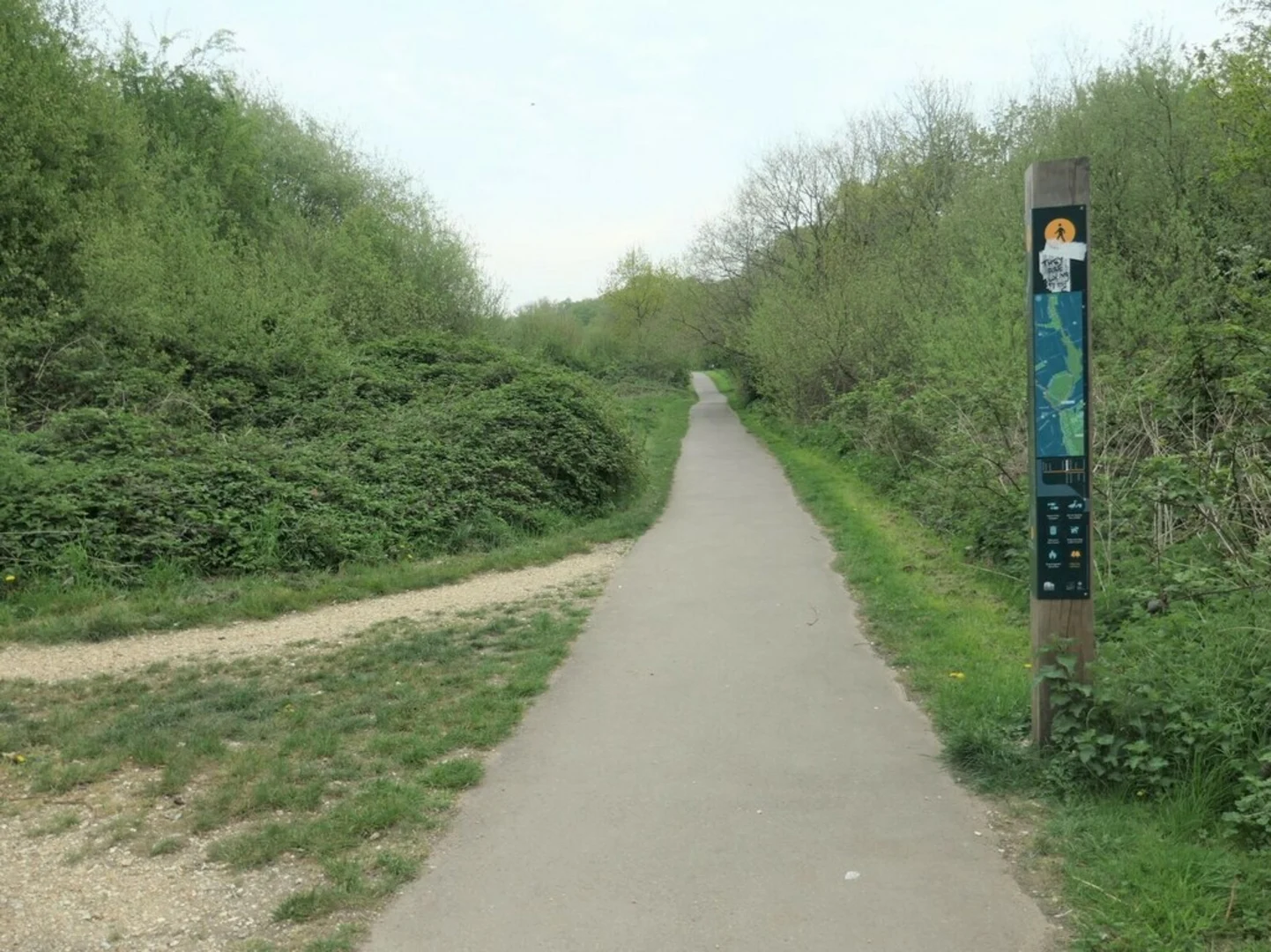 An image depicting the trail Miller's Pond Loop Walk and its surrounding area.