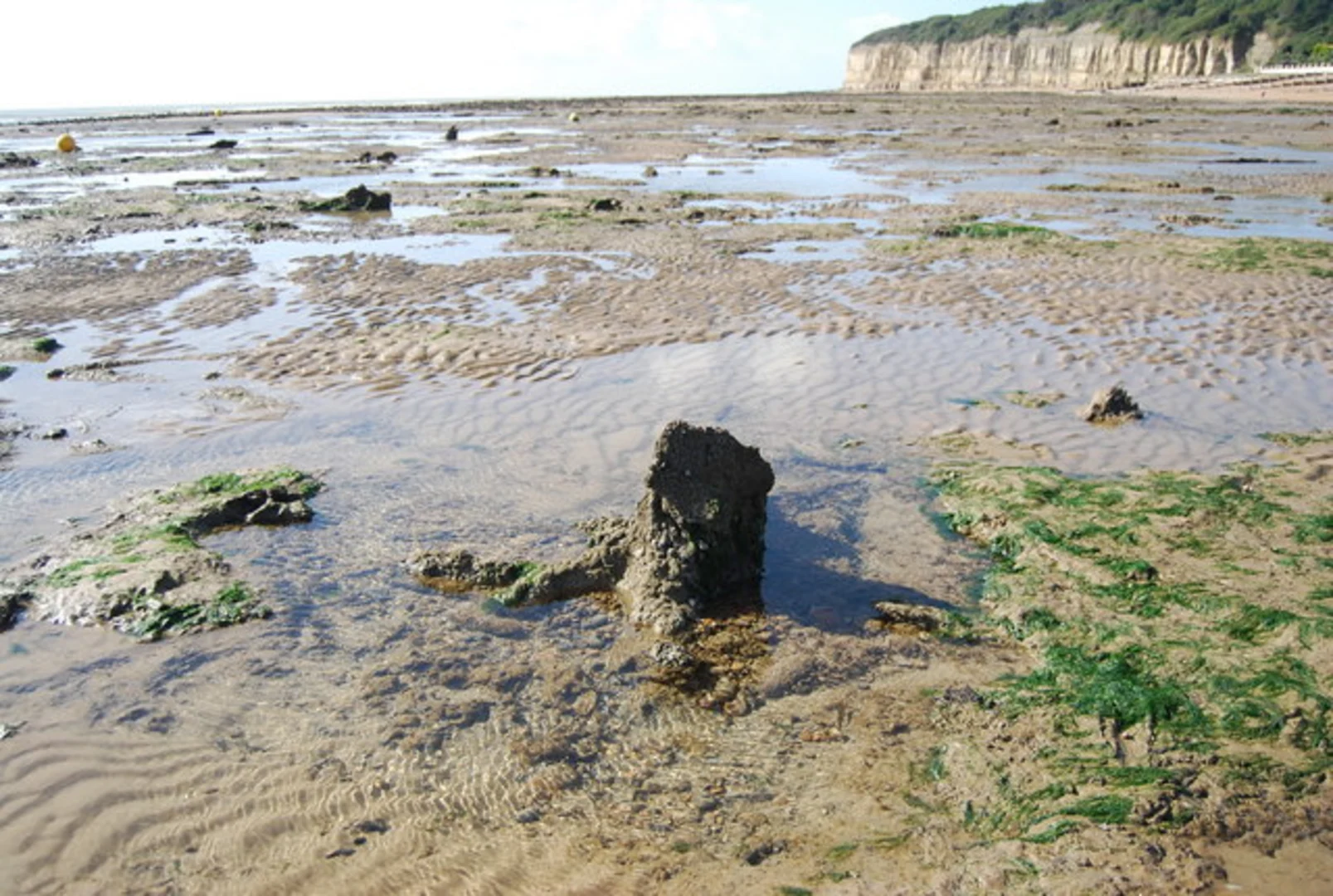 An image depicting the trail Hasting to Rye Coastal Walk and its surrounding area.