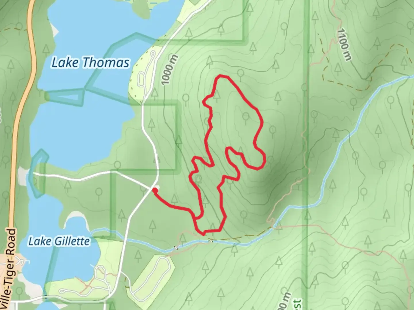 An image depicting the trail Springboard Loop Trail and its surrounding area.