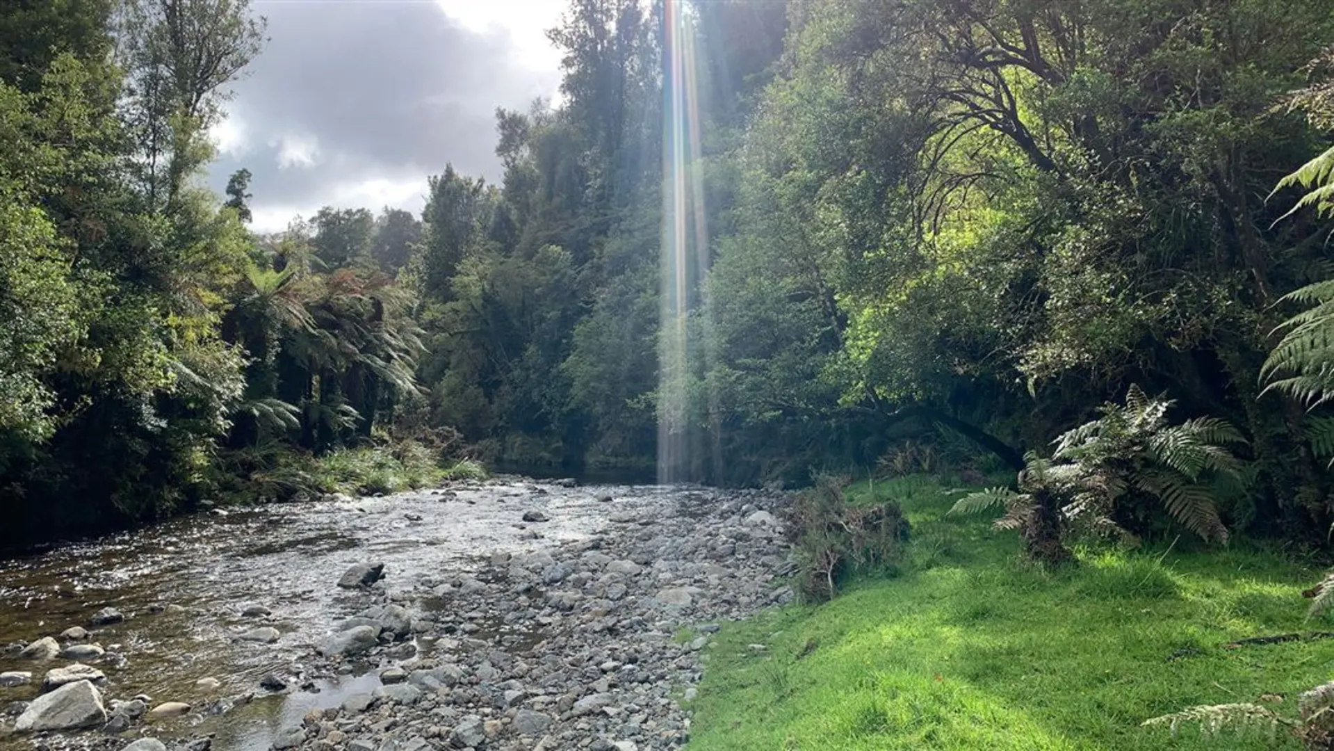An image depicting the trail Burtton's Track and its surrounding area.