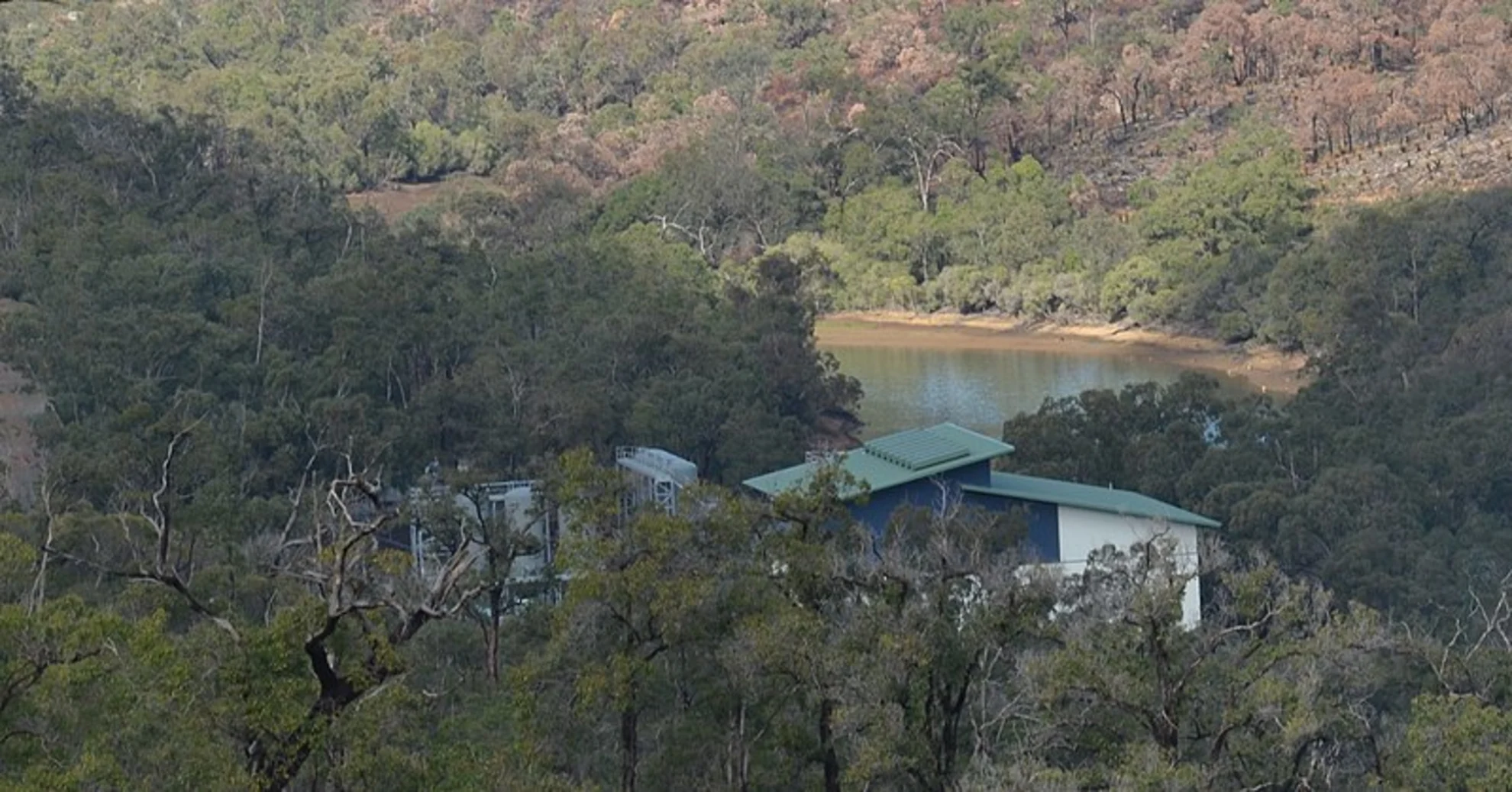 An image depicting the trail Helena Pipehead Track and its surrounding area.