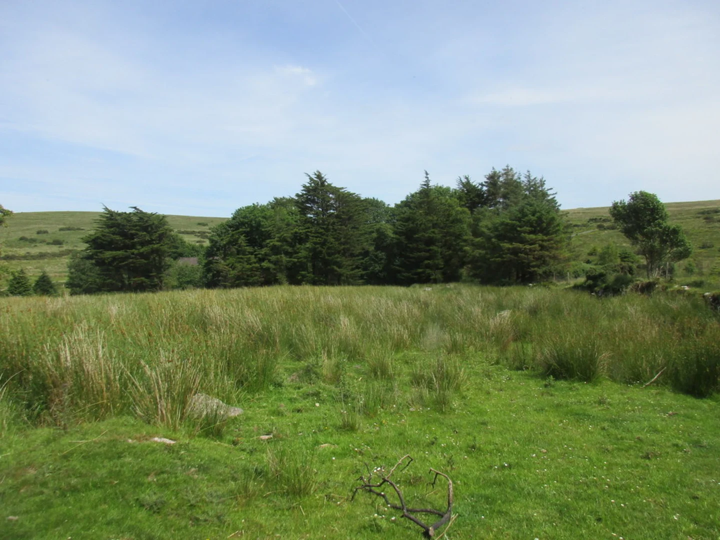 An image depicting the trail Clashganny Viewing Point Loop and its surrounding area.