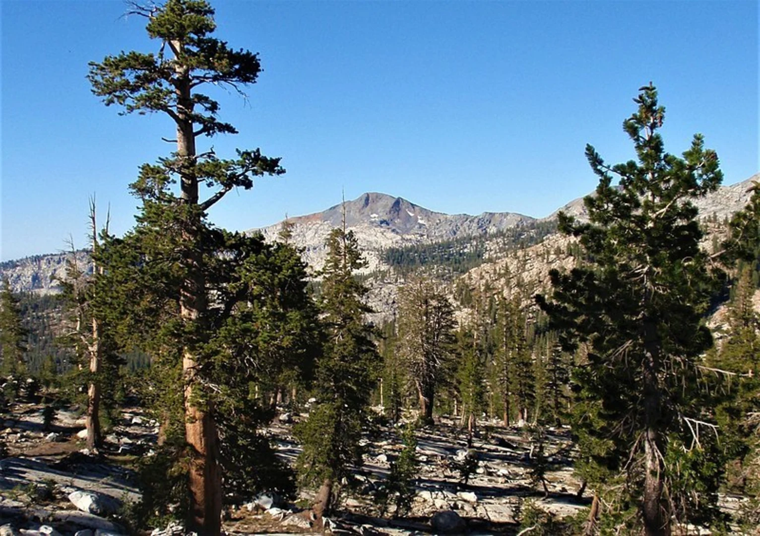 An image depicting the trail Chiquito Pass Trail and its surrounding area.
