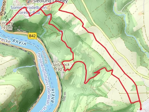 Leiselfeld, Spitznack and Loreley Loop via Leiselfelder Weg
