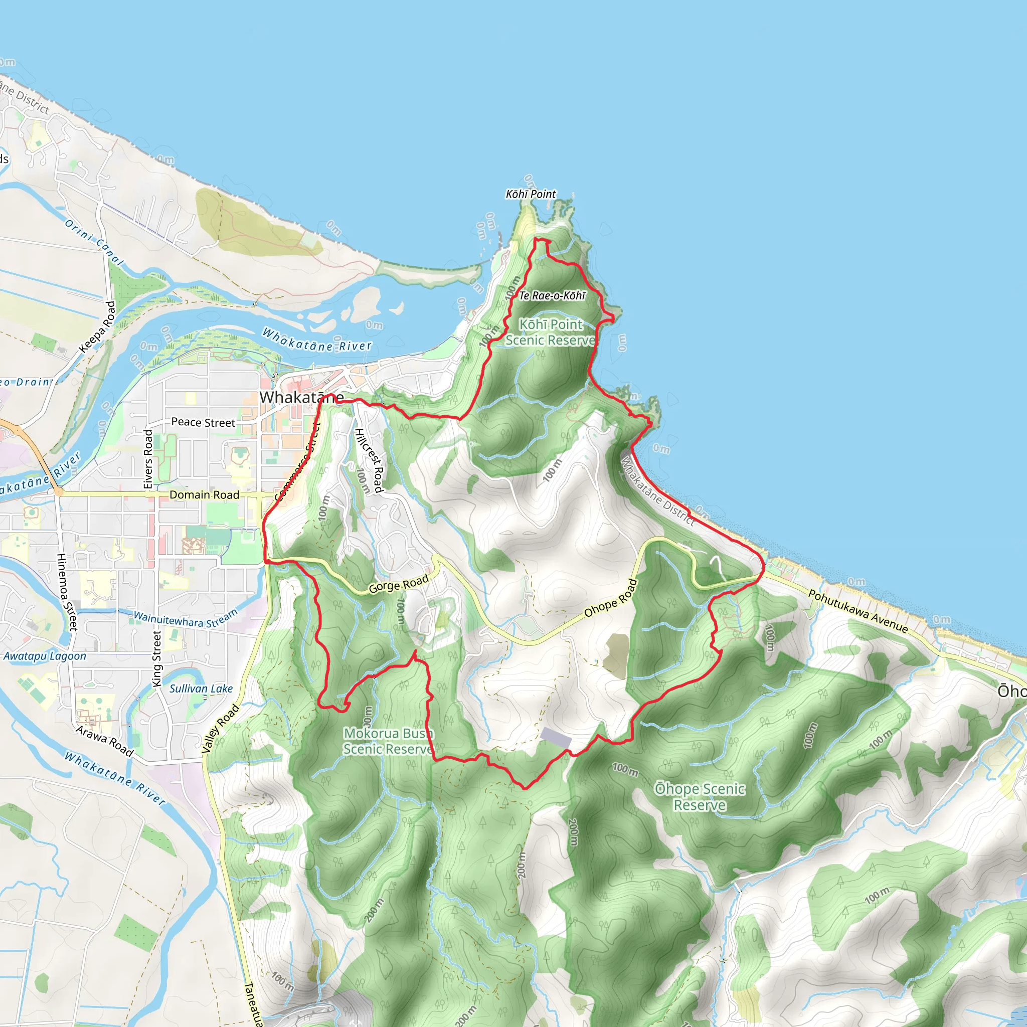 Nga Tapuwae o Toi and Kohi Point Walkway Loop mobile static map