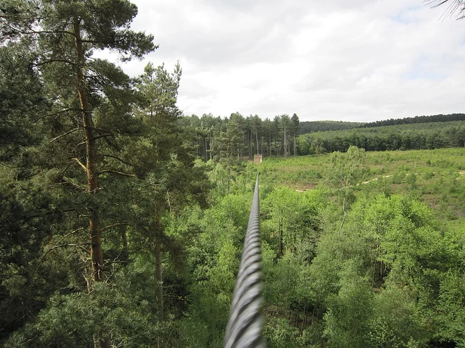 Go Ape and New Parks Loop