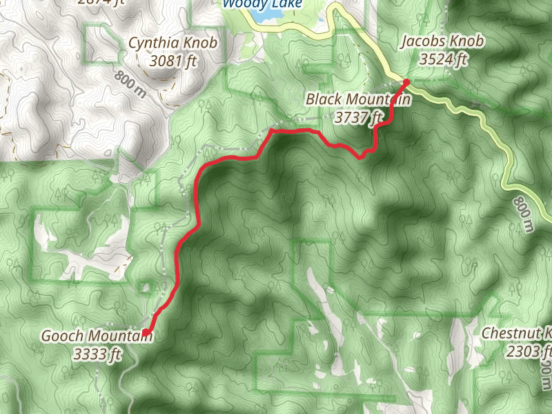Appalachian Trail -Woody Gap