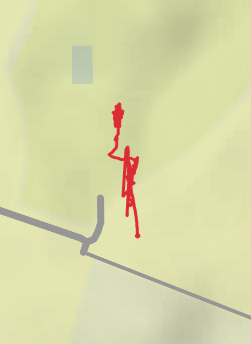 ריצה mobile static map