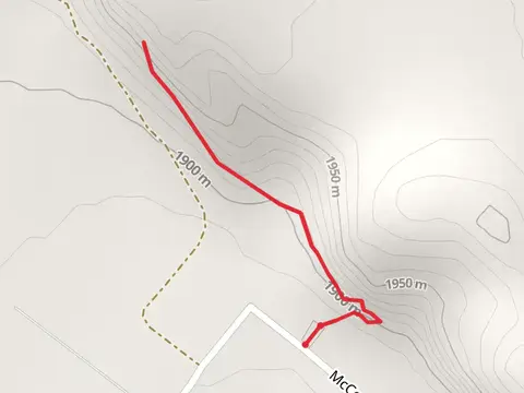Main Track to Petroglyphs