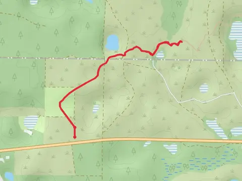 Cross Seminole Trail - Short