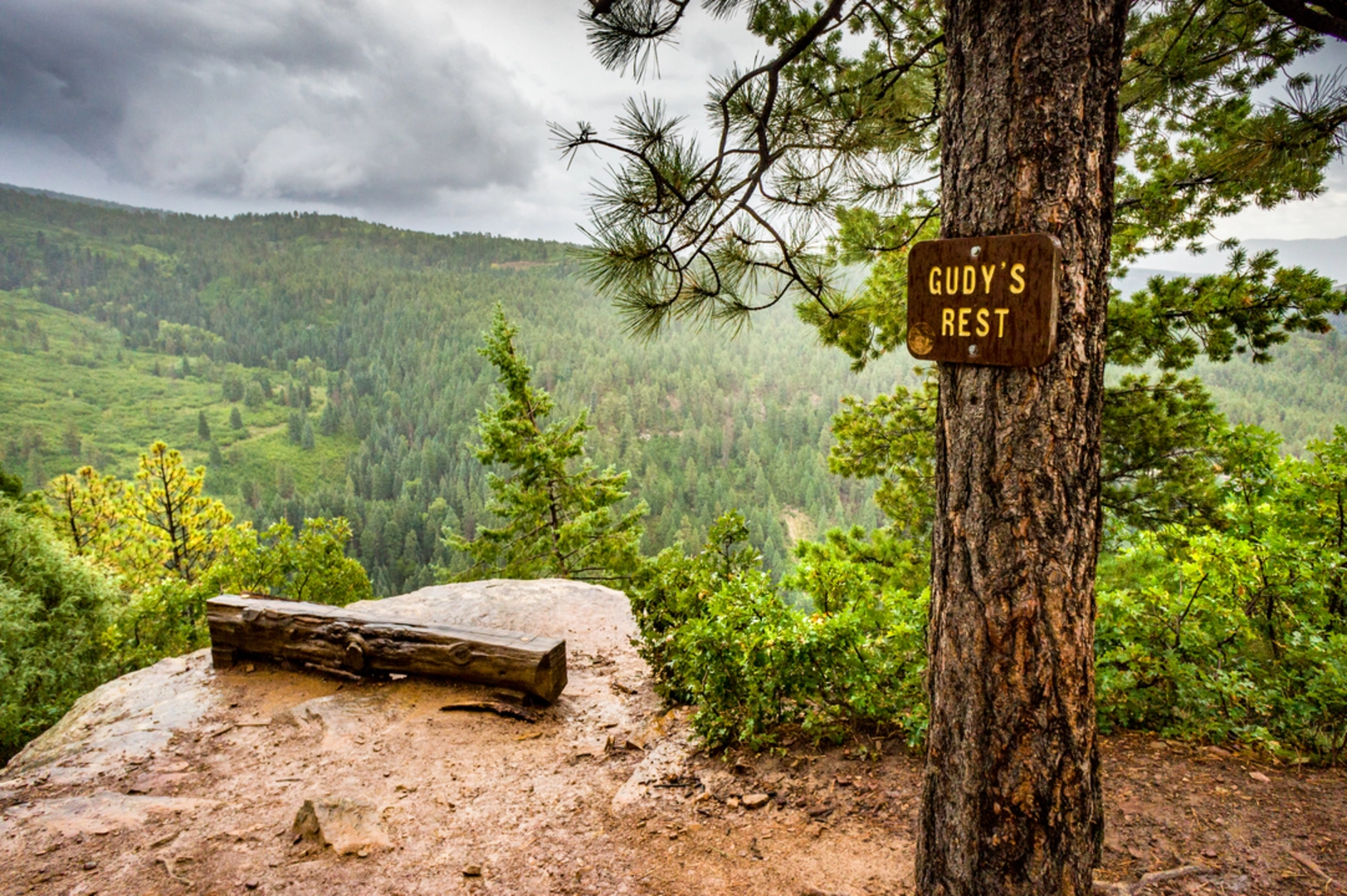 An image depicting the trail Junction Creek Trail and its surrounding area.