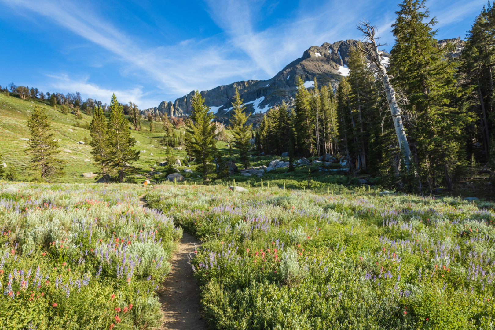 An image depicting the trail PCT and Summit City Canyon Trail and its surrounding area.