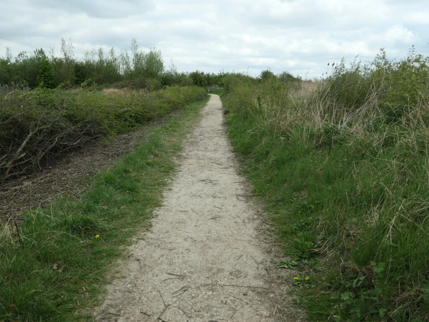 An image depicting the trail Otmoor Loop and its surrounding area.