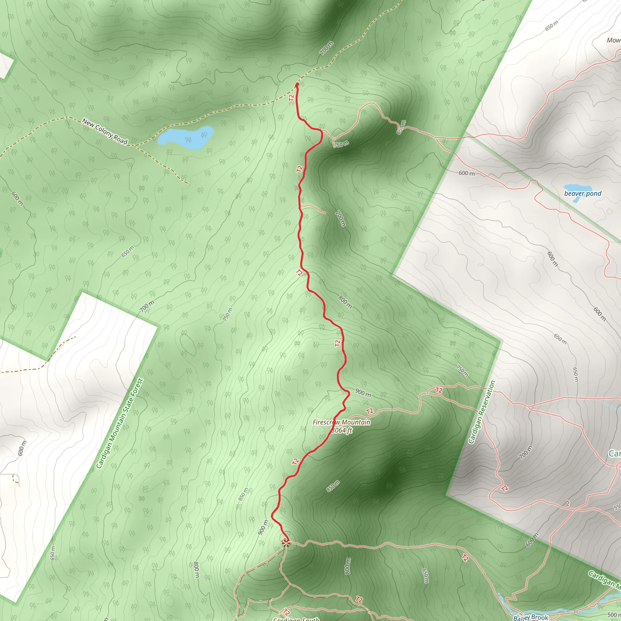 Firecrew Mountain and Mount Cardign via Mowglis Trail mobile static map