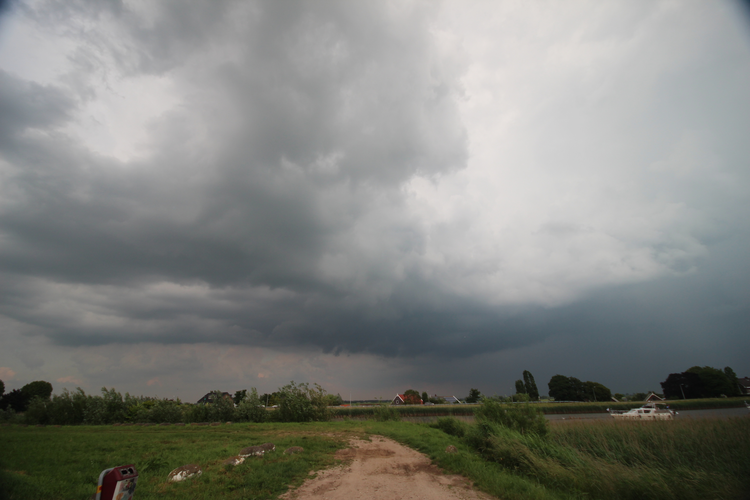 Hollandse Hout Loop