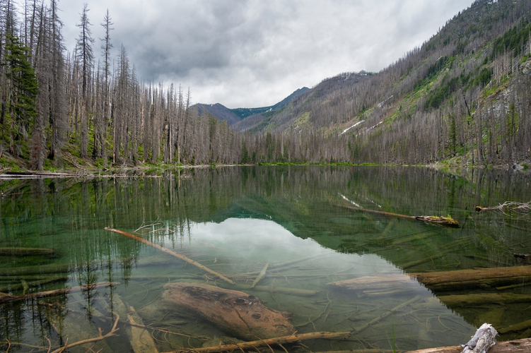 Larch Lakes Trail via Ice Creek Trail